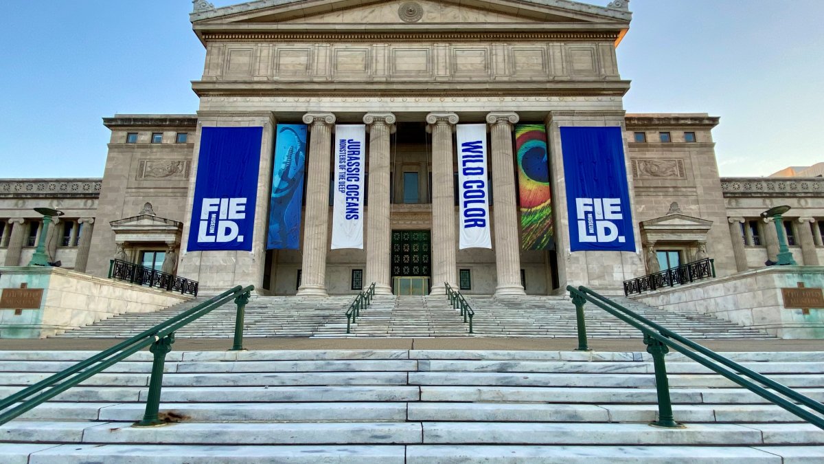 Chicago museum free days Field Museum holds additional free day NBC