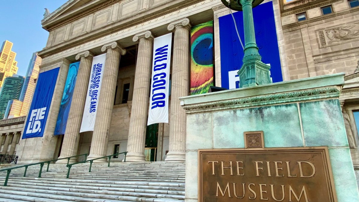 Chicago Museums Offering Free Admission on Earth Day 2023 – NBC Chicago
