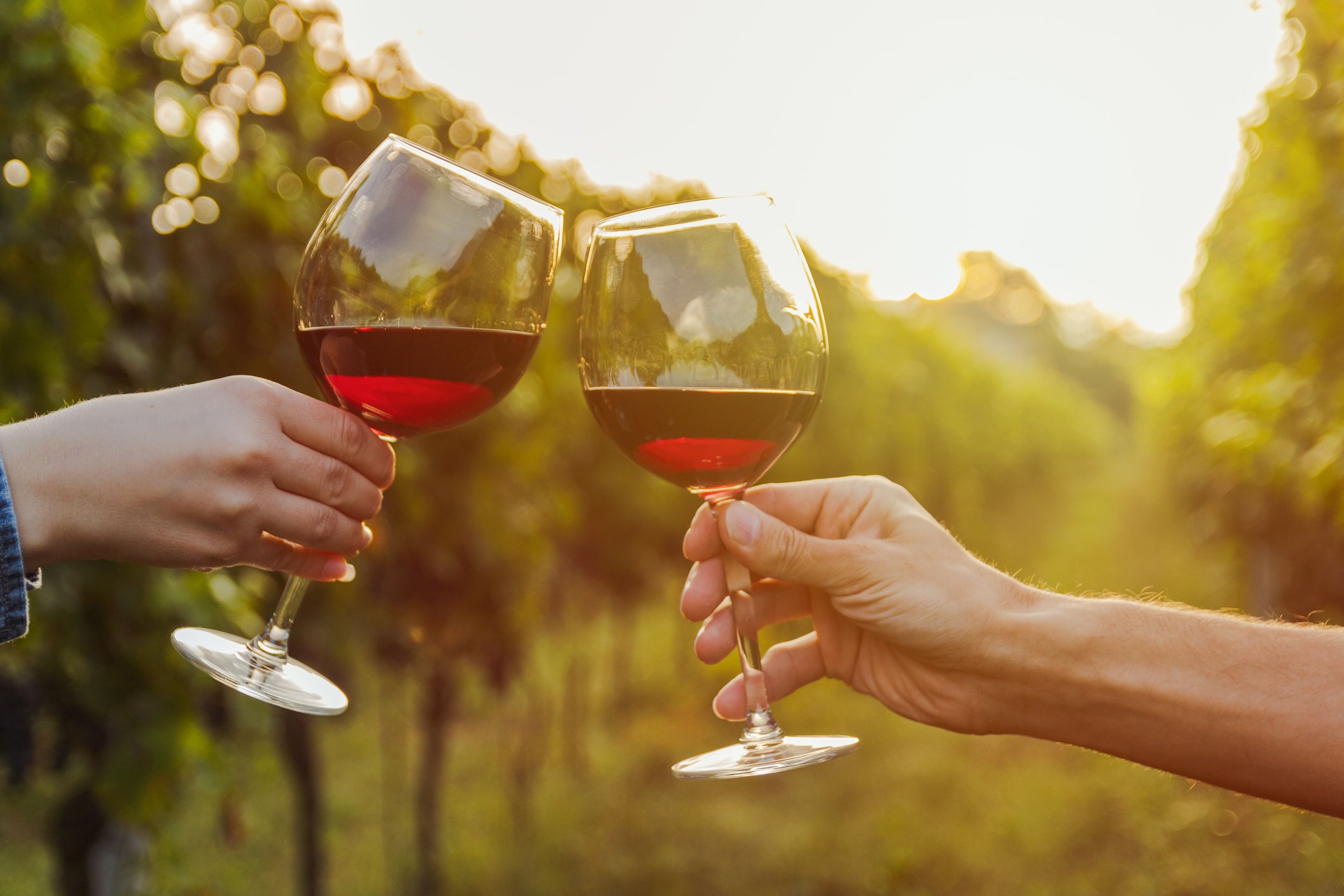 The Best Winery in Illinois Is About a 90-Minute Drive Outside Chicago, According to Yelp List - Vimarsana News