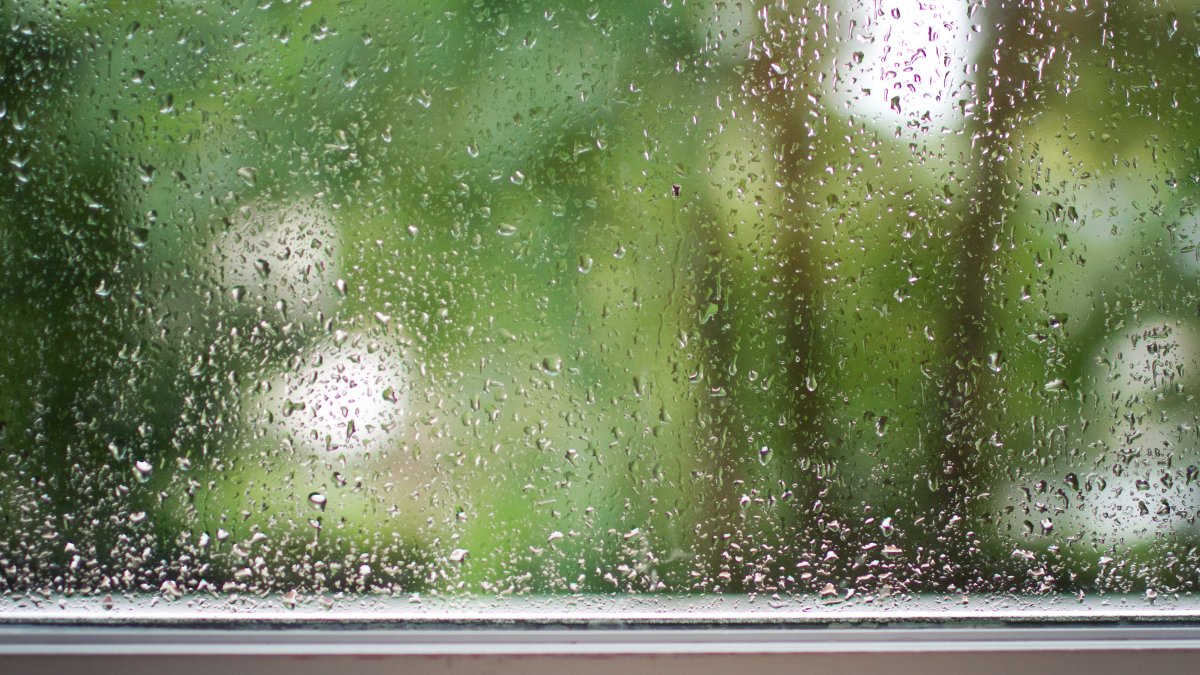Chicago Forecast: Cloudy Saturday With Storms, Gusty Winds Brewing - Vimarsana News