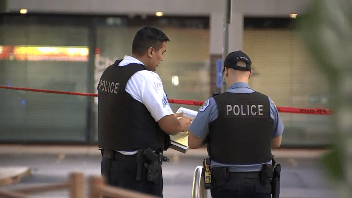 6 Arrested Following Stabbing, Violent Armed Robbery Attempt on CTA Red