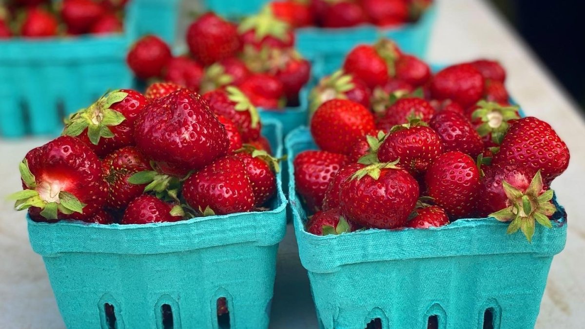 Here are 10 places you can go strawberry picking in Illinois and beyond this summer