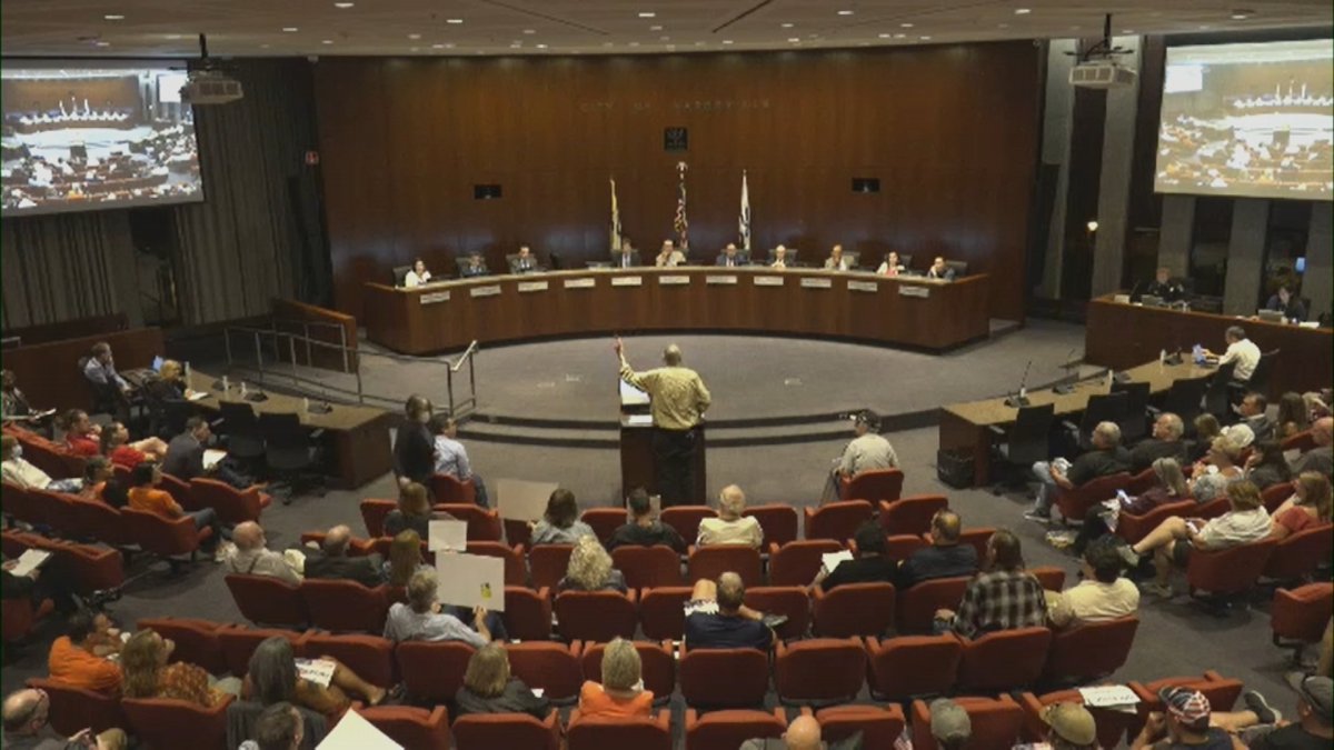 Naperville City Council Passes Ban on Commercial Sales of Assault ...