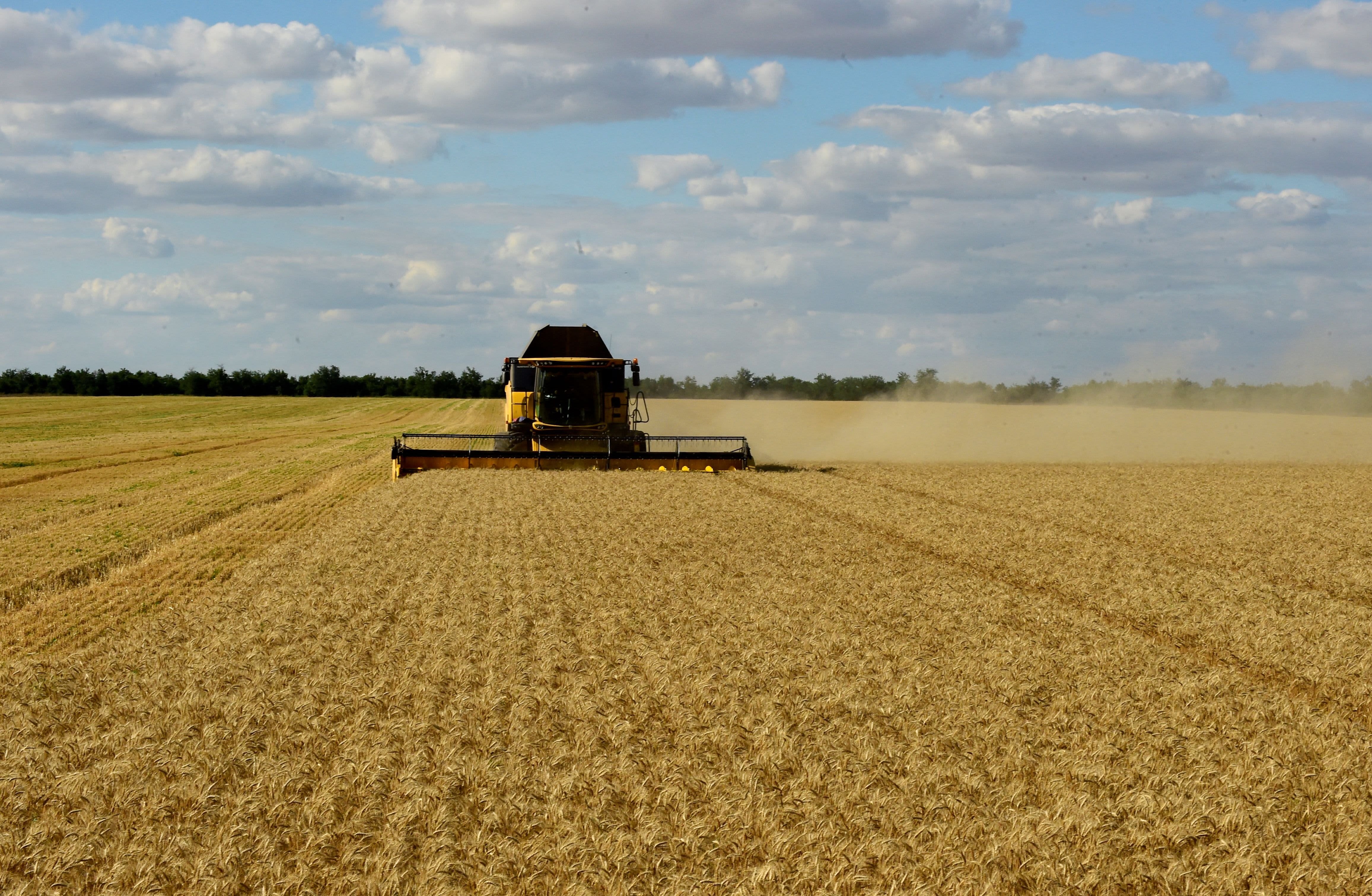 Food Prices Fell Sharply in July — But the Respite May Not Last - Vimarsana News
