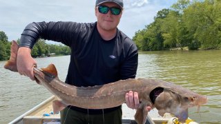 Lake Sturgeon Georgia