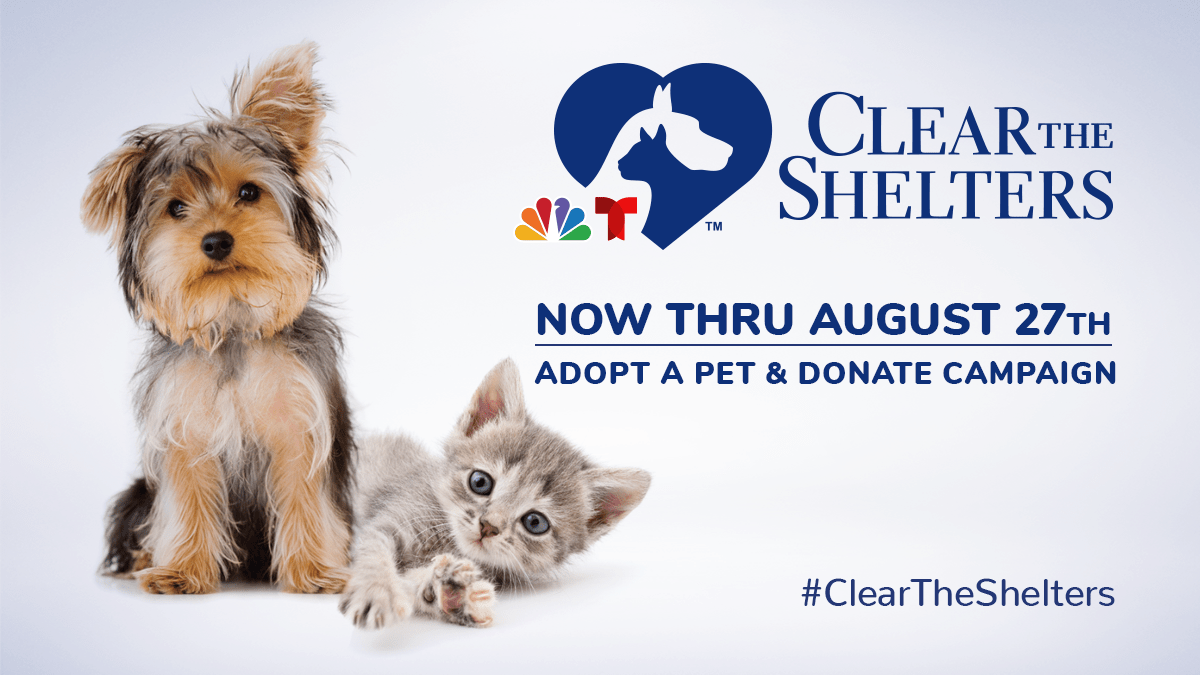Clear the Shelters 2022 Kicks Off In Chicago Area NBC Chicago