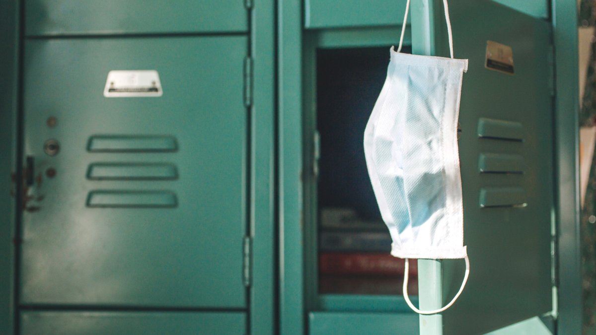 Illinois Coronavirus Updates: Back-to-School Guidelines, CDC and Testing Changes - Vimarsana News