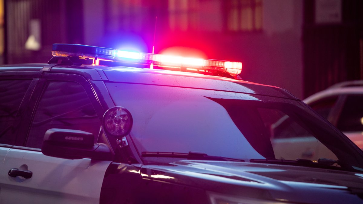 Authorities Say Libertyville Carjackers Dropped Toddler Off in Business Parking Lot After Running Over Child's Mother - Vimarsana News