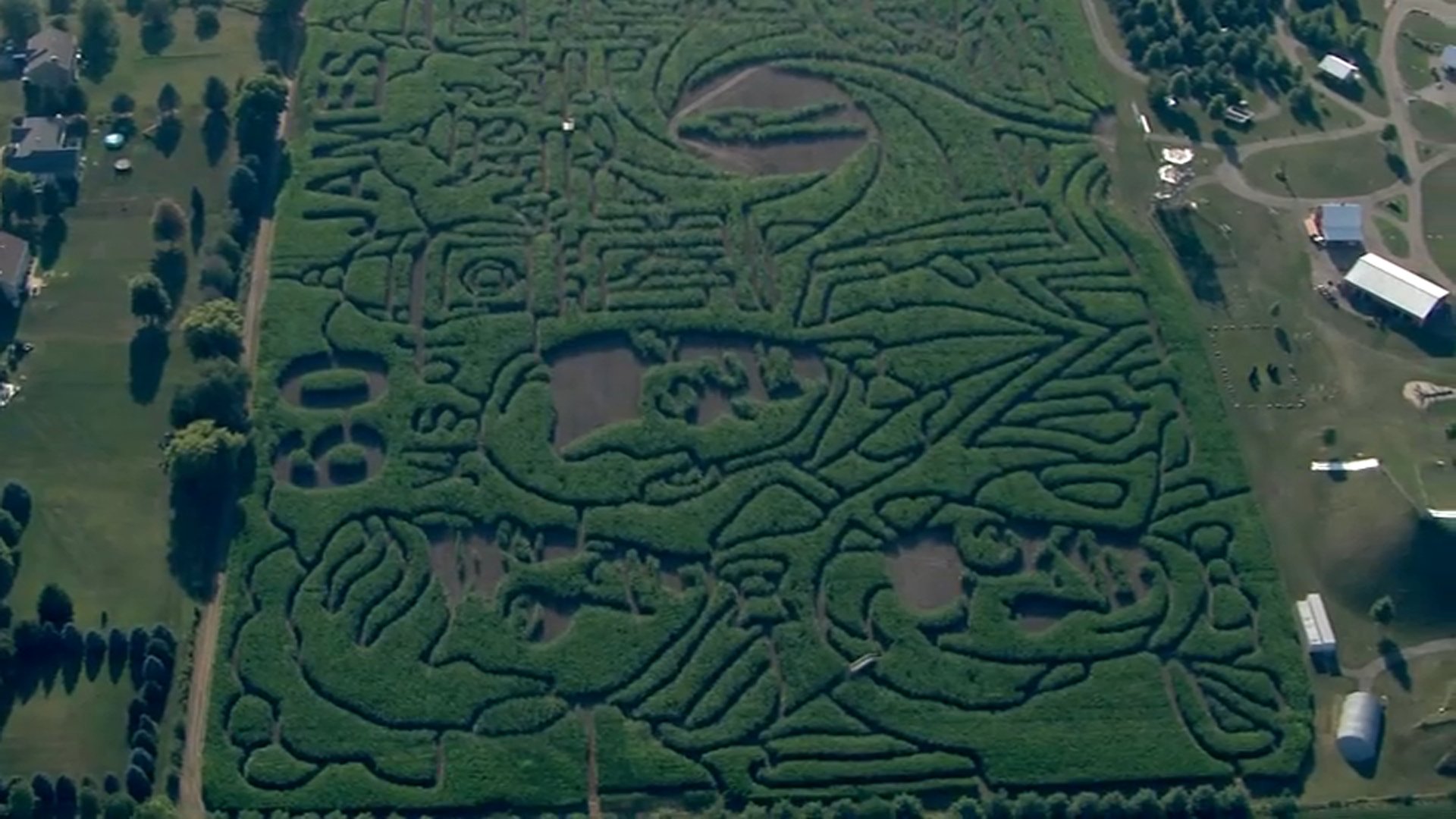 Northern Illinois Corn Mazes Promise Fall Fun for Residents as Halloween Nears