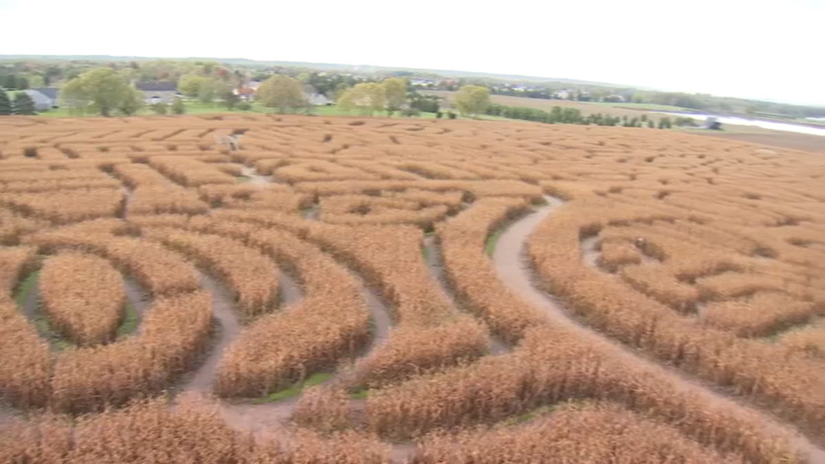 Photos See Design Behind ‘World’s Largest’ Corn Maze in Suburban