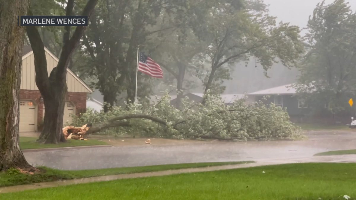 Watch: Severe Thunderstorm Downs Trees in Elgin – NBC Chicago