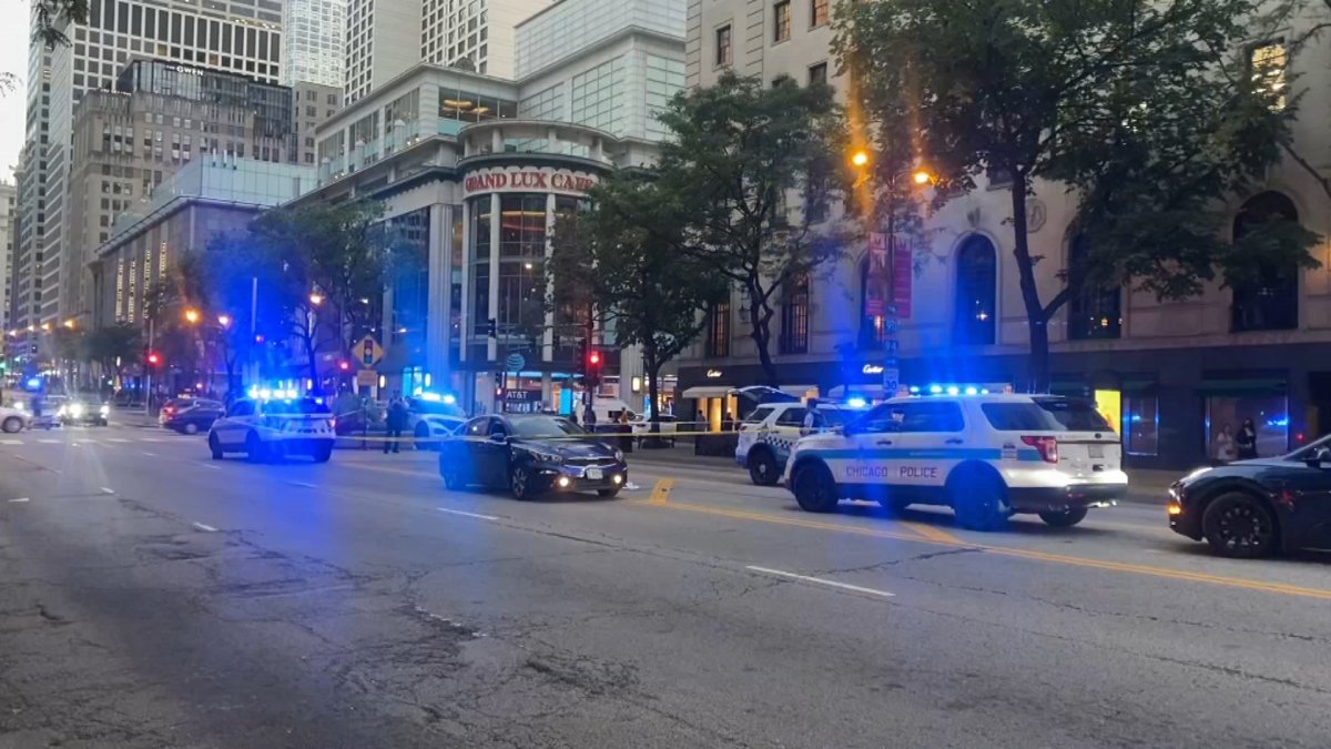 Man Fatally Stabbed in River North Road Rage Attack Was Devoted Father, Mother Recalls - Vimarsana News