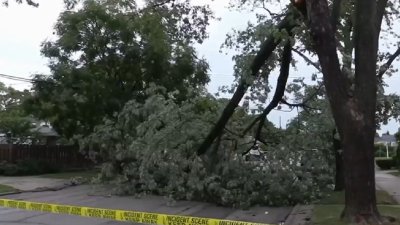 Skokie, Evanston Among Areas Hit By Storm Damage – NBC Chicago