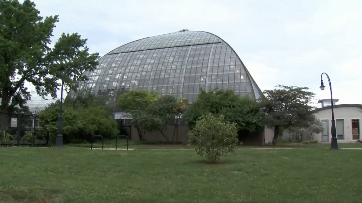 Chicago Teen Fighting for Her Life After Being Struck by Lightning Near Garfield Park Observatory - Vimarsana News