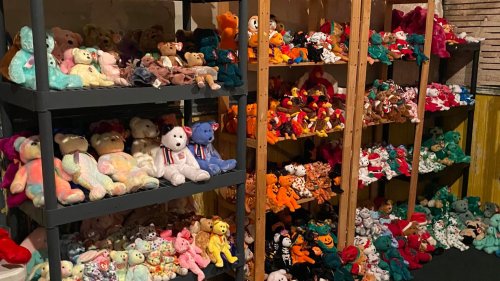Massive Beanie Baby Collection Up for Grabs in Rockford as Part of Estate Sale