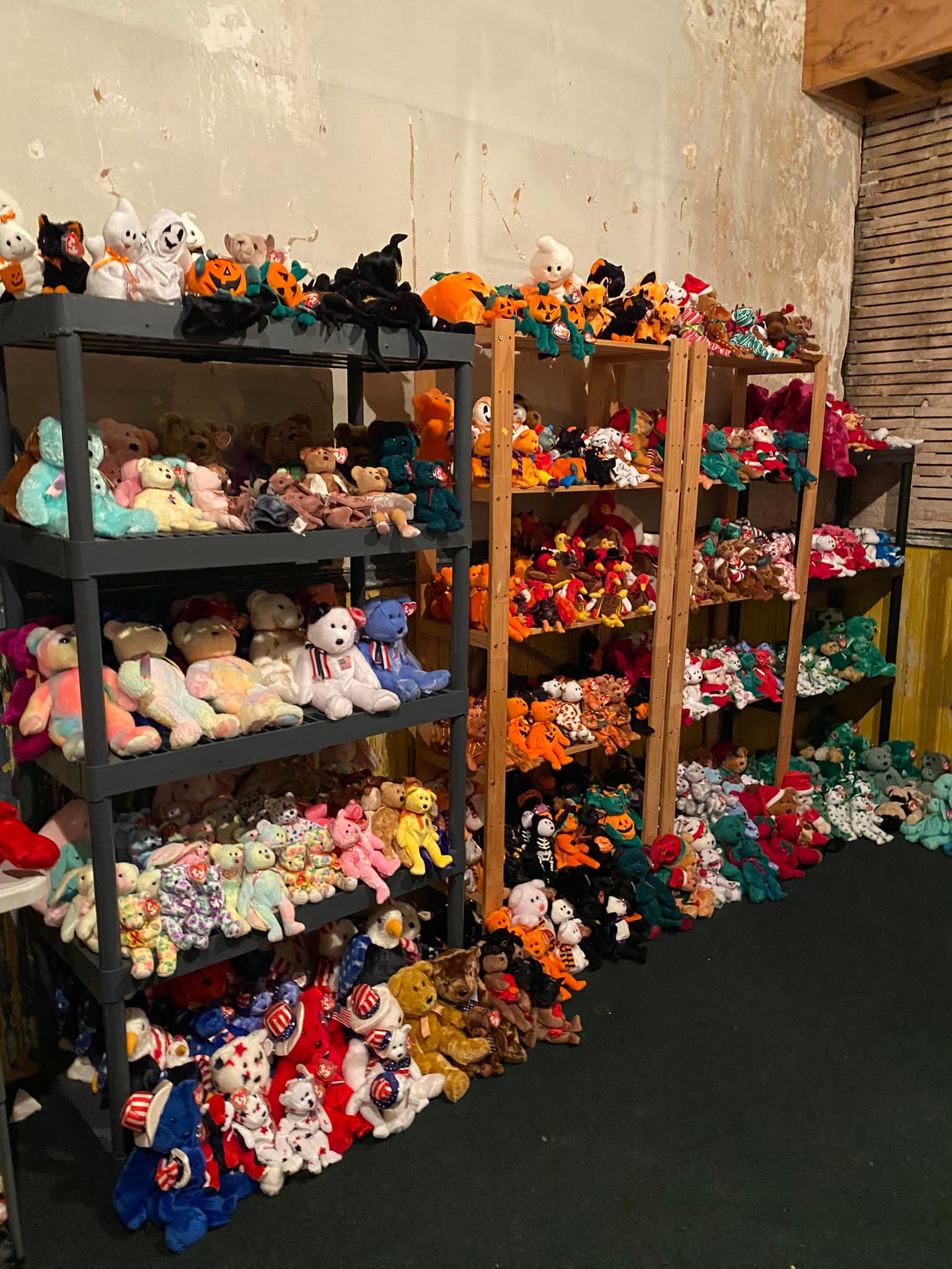 Massive Beanie Baby Collection Up for Grabs in Rockford as Part of Estate Sale