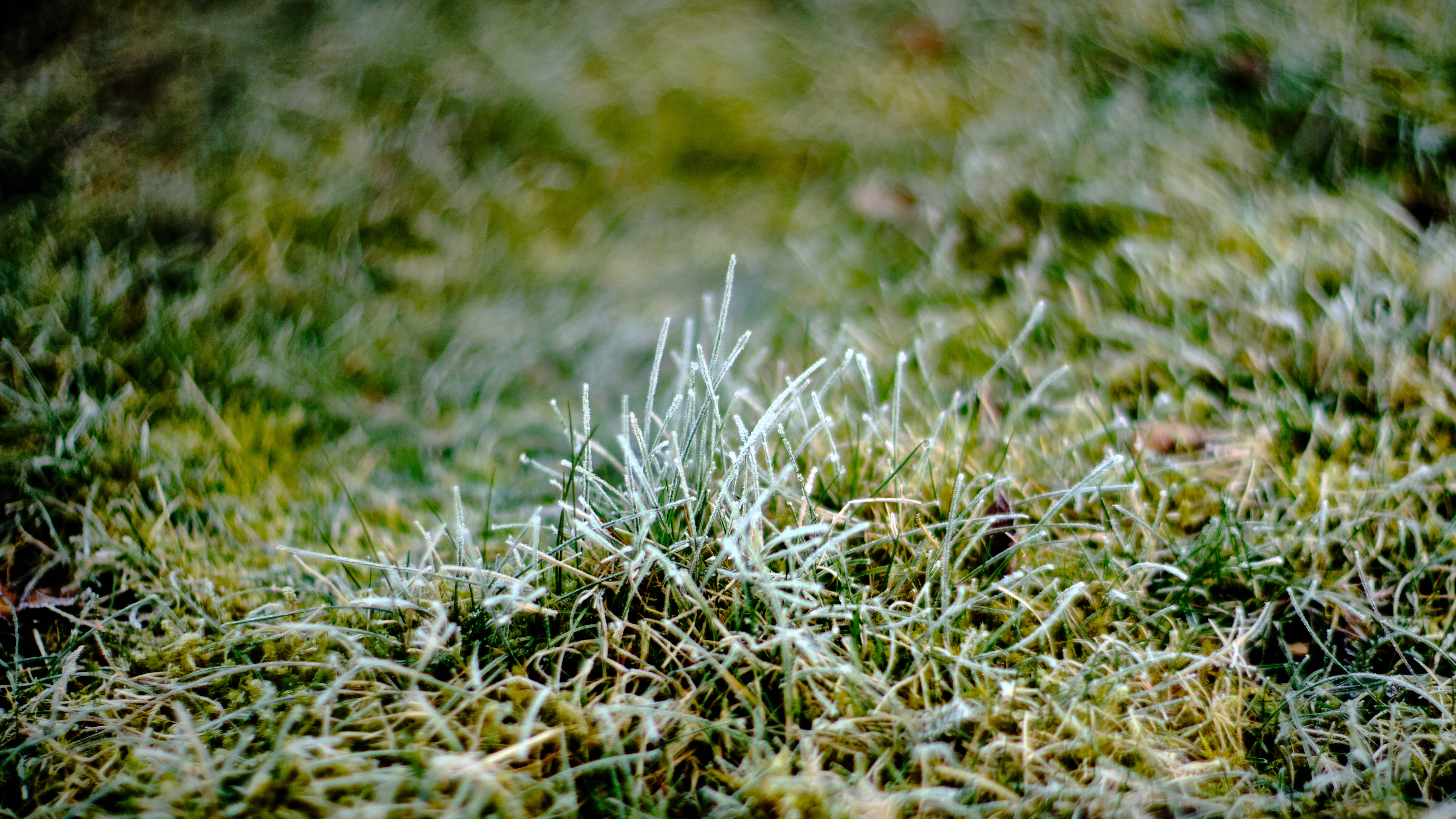 Explainer: Here's When the Chicago Area Typically Sees Its First Freeze
