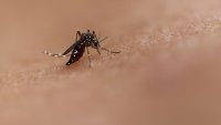 First human case of West Nile Virus reported in Lake County this year