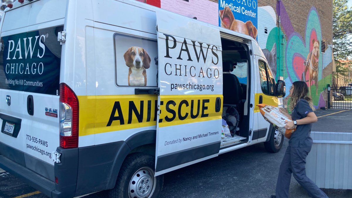 PAWS Chicago To Rescue Over 40 Dogs and Cats From Areas Impacted by ...