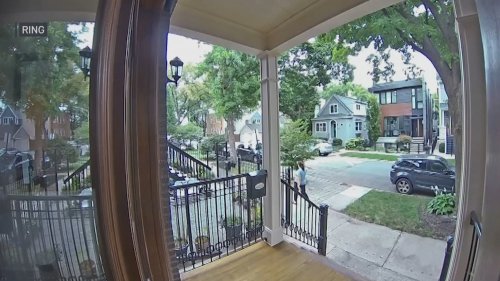 Watch: Frightening Video Shows Moment Woman Was Violently Robbed in Broad Daylight in Lakeview