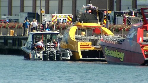 Police Reveal Few Details After 3-Year-Old Remains Critical From Falling Into Lake Michigan