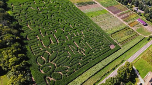 This 8-Acre Corn Maze Outside Chicago Isn't Just a Corn Maze. It's a Tribute to Ukraine With a Personal Family Message