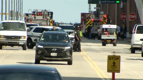 Woman Accused of Pushing 3-Year-Old Into Lake Michigan Near Navy Pier Charged: CPD