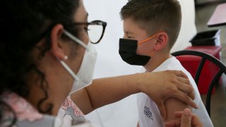 A child is administered a dose of the Pfizer-BioNTech coronavirus disease (COVID-19) pediatric vaccine.