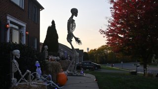 Herman the 12 foot tall skeleton stands amongst his fellow skeletons in Middletown, Maryland on October 20, 2020. The Ferrone family purchased a 12-foot-tall skeleton from Home Depot, the hottest halloween decoration this year. It was stolen from their yard, and they petitioned the company for a replacement.