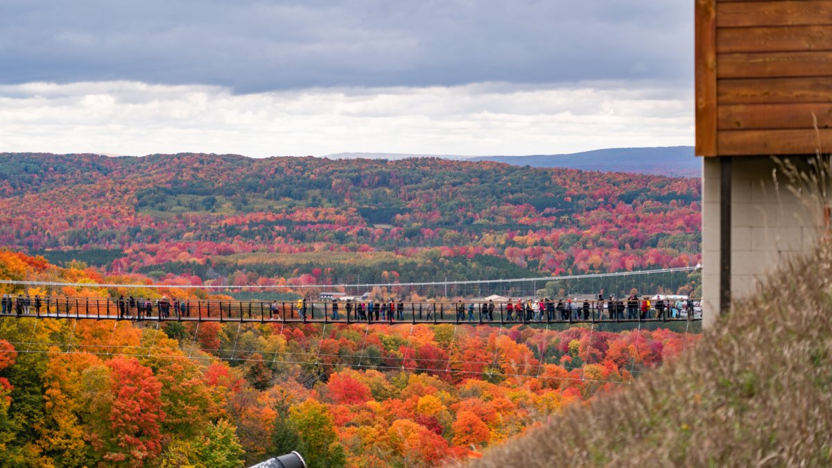 World’s Longest TimberTowered Suspension Bridge Opens Just Hours Away