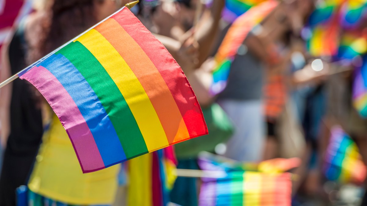 National Coming Out Day 2023: What is it and how to celebrate – NBC Chicago - Vimarsana News