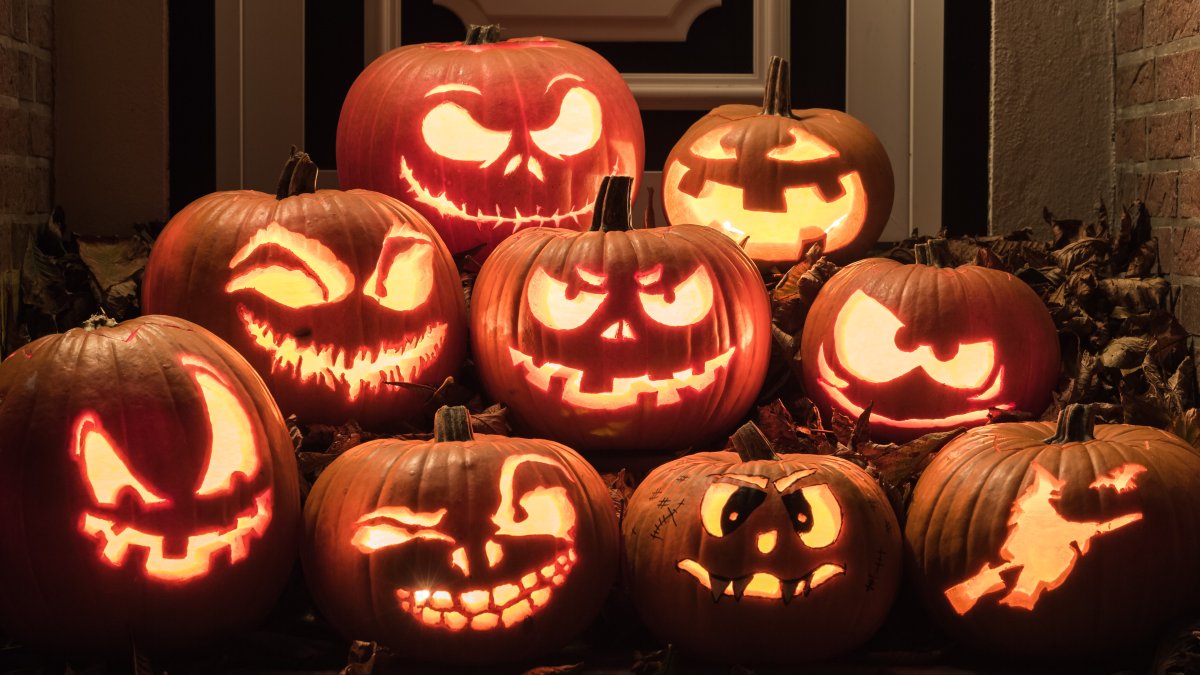 Nightmare on Chicago Street to Take Over Elgin Ahead of Halloween - Vimarsana News