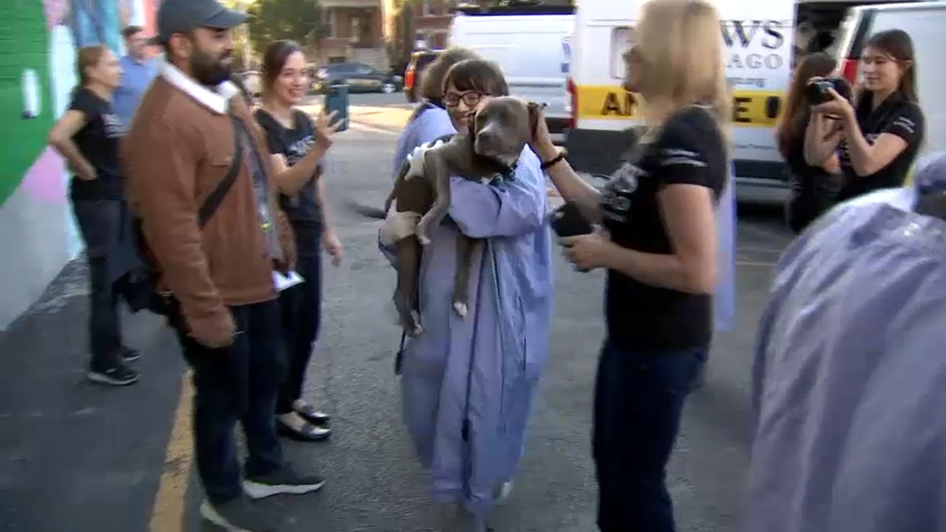 More Than 50 Pets Rescued From Areas Hit Hardest by Hurricane Ian Arrive in Chicago