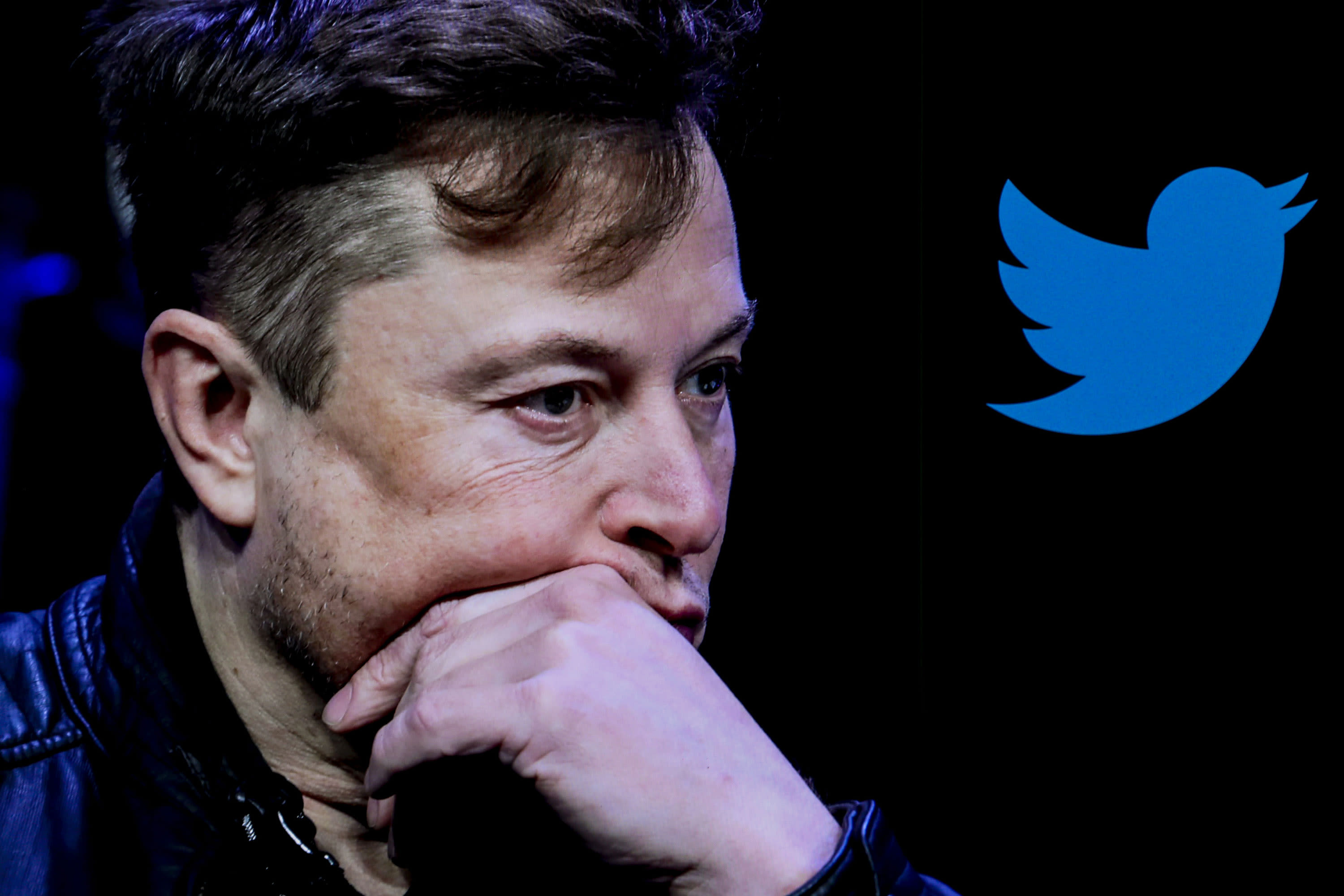 Twitter to Grant ‘Amnesty' to Suspended Accounts, Elon Musk Says