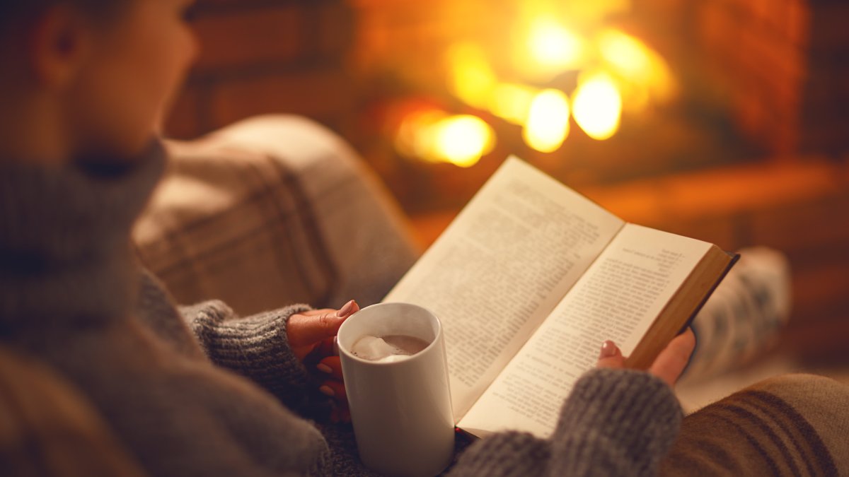 7 CEOs on the 'Innovative' and 'Timely' Books Everyone Should Read This Winter – NBC Chicago - Vimarsana News