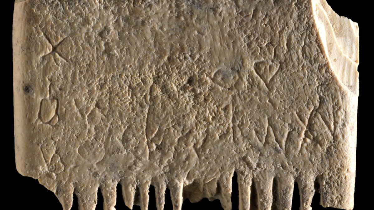 Archaeologists in Israel Find Ancient Comb With an Important Message About Lice – NBC Chicago - Vimarsana News