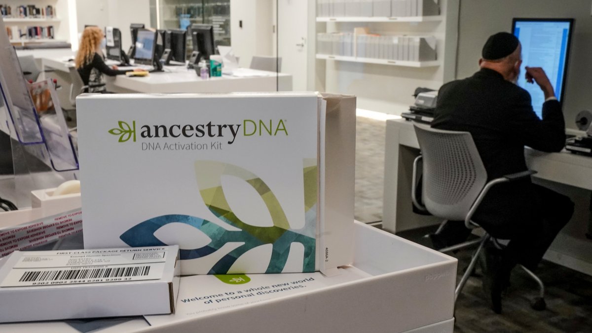 Holocaust Survivors Offered DNA Tests to Help Find Descendants of Surviving Relatives