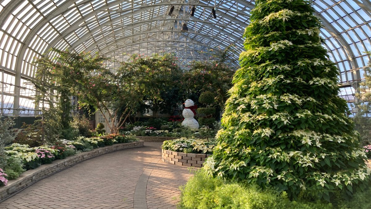 Chicago Conservatories Transform for Winter Flower Displays Starting