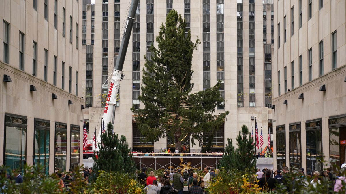 Rockefeller Christmas Tree Arrives In NYC — Here