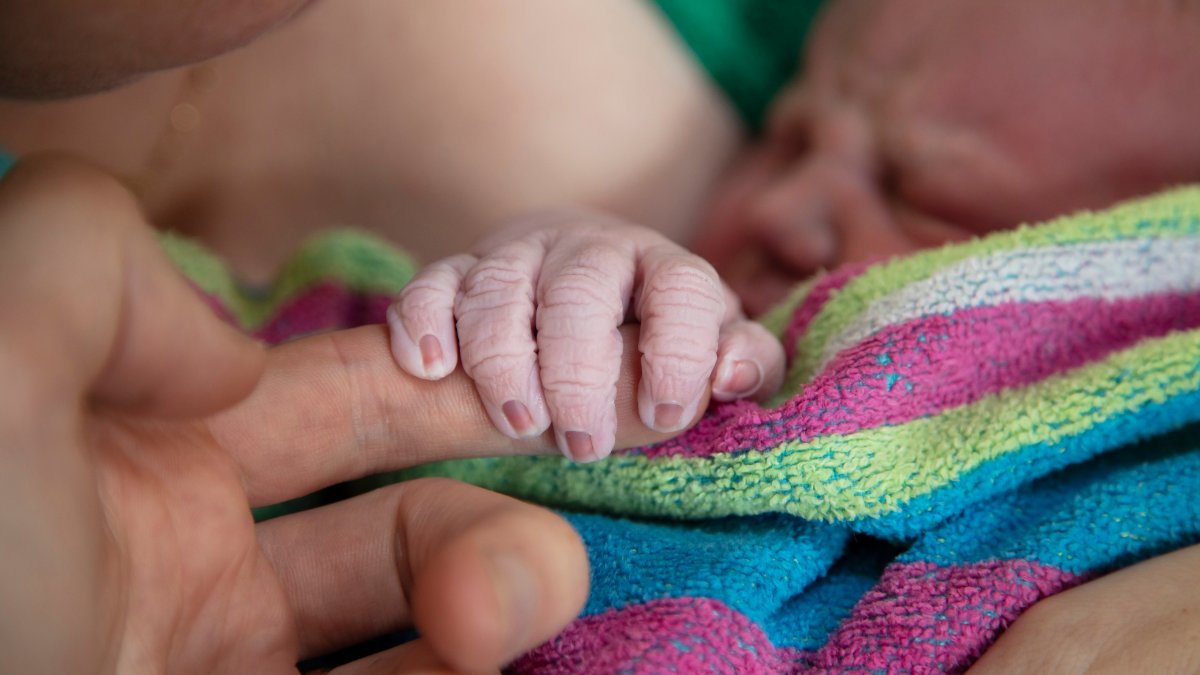 Home Births Increased in the US During COVID-19, Data Shows – NBC Chicago - Vimarsana News