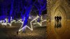 Chicago Botanic Garden's popular ‘Lightscape' opens for the 2024 holiday season