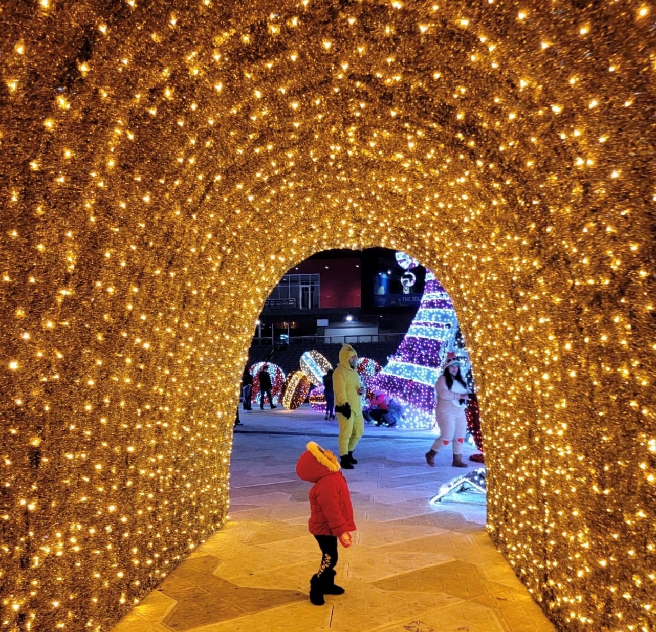 Photos Amaze Light Festival Rings in the Holiday Season NBC Chicago