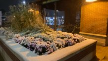 Snow in Arlington Heights on Nov. 15, 2022