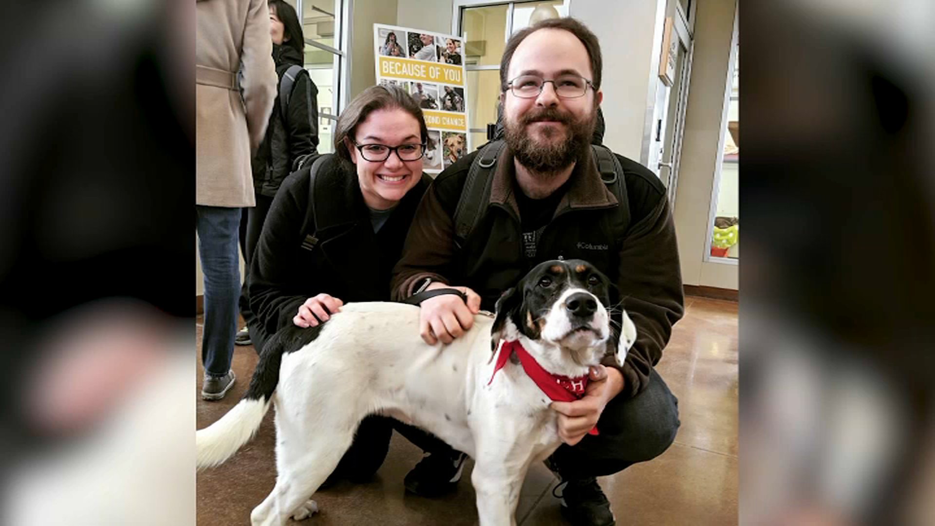 Wife Seeks Justice in Old Irving Park Hit-and-Run That Injured Husband, Killed Dog