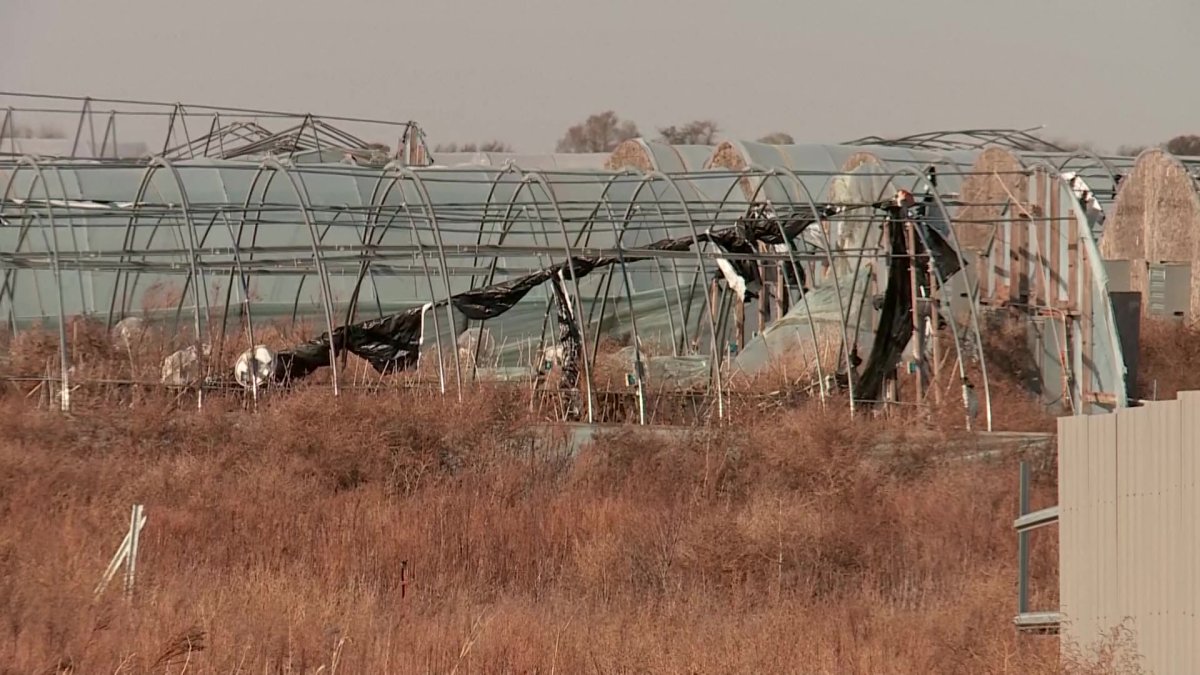 4 Chinese Citizens Killed at Oklahoma Marijuana Farm – NBC Chicago - Vimarsana News