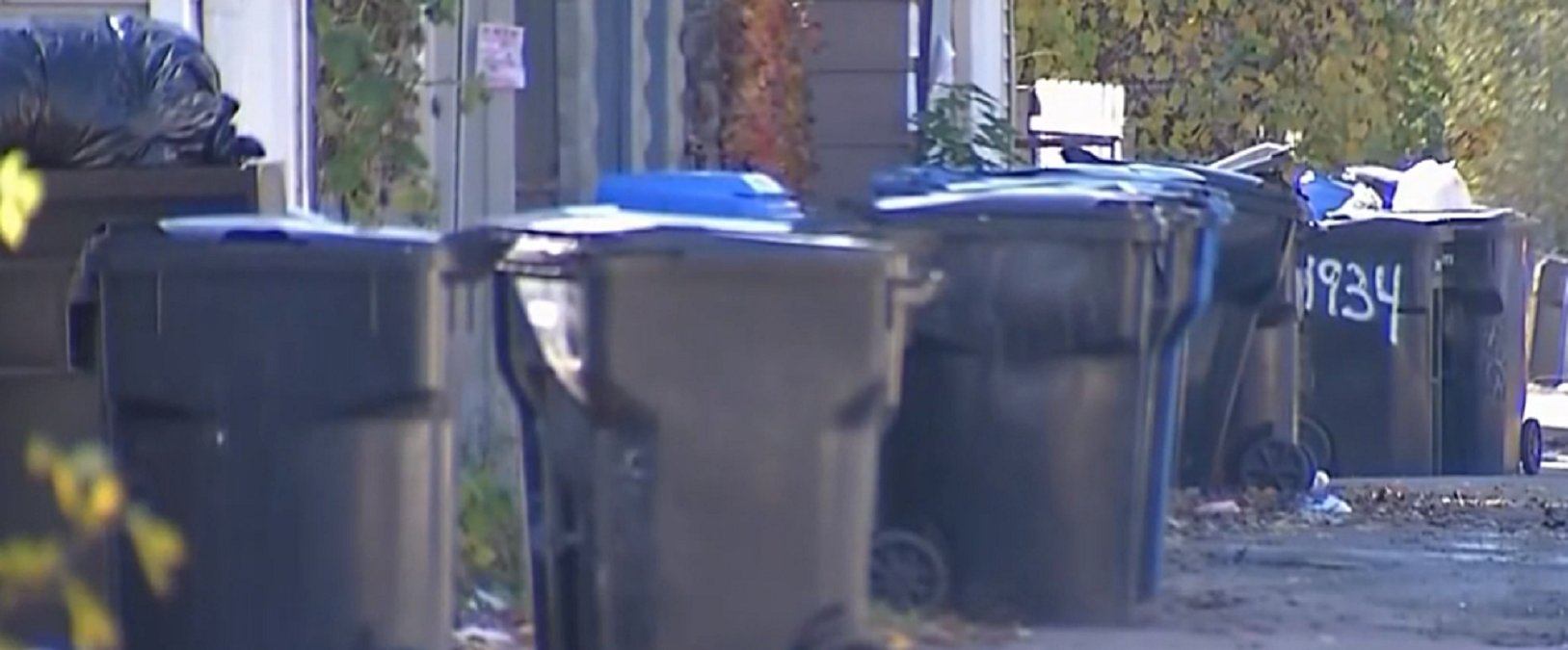 Man Confesses to Gruesome Killing After Dismembered Body Parts Found in Chicago; Police Still Searching for Some Remains