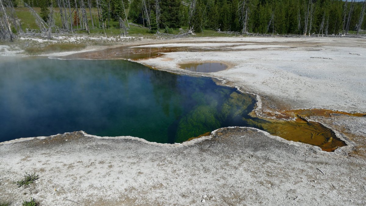 LA Man's Foot Found Floating in Yellowstone Hot Spring – NBC Chicago - Vimarsana News