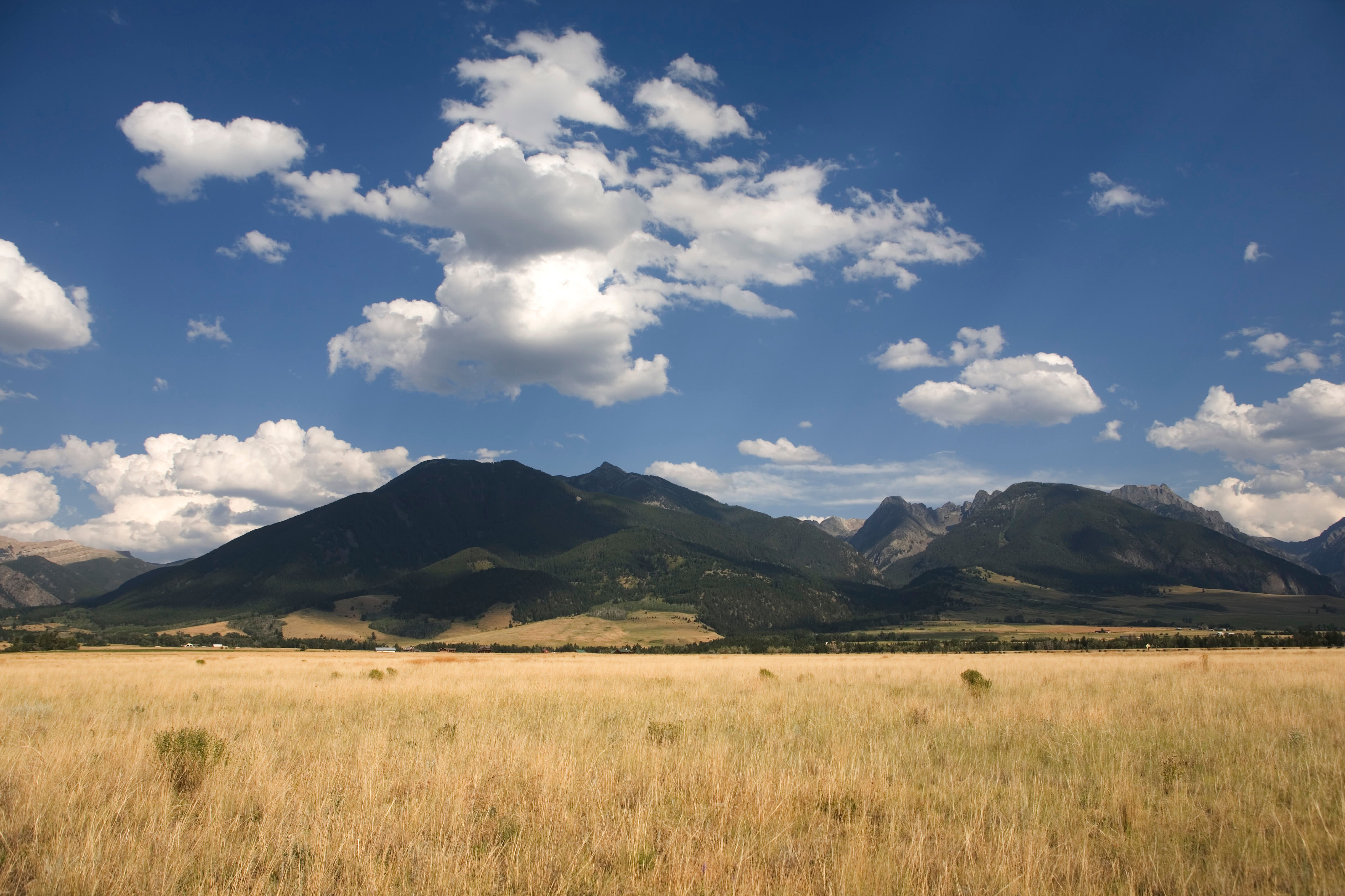 How Government Spending Bill May Help Prevent Abuse of Federal Tax Incentive for Land Conservation - Vimarsana News