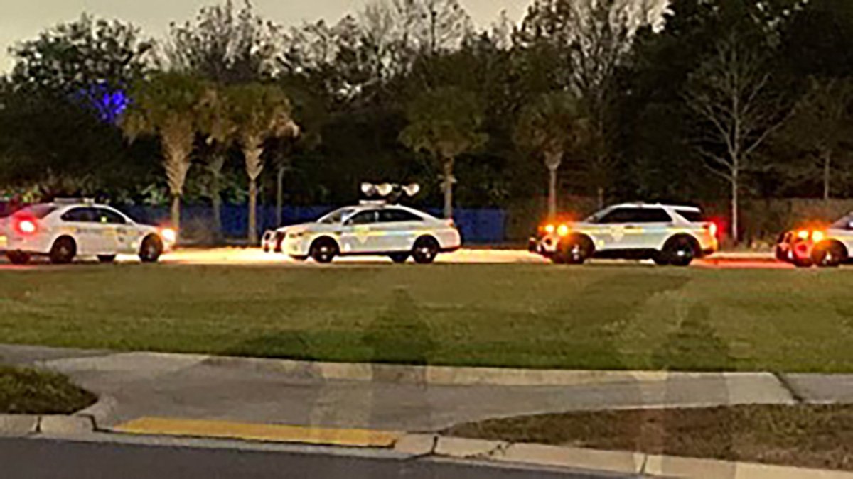 Zookeeper Injured During Bear Attack at Jacksonville Zoo – NBC Chicago - Vimarsana News