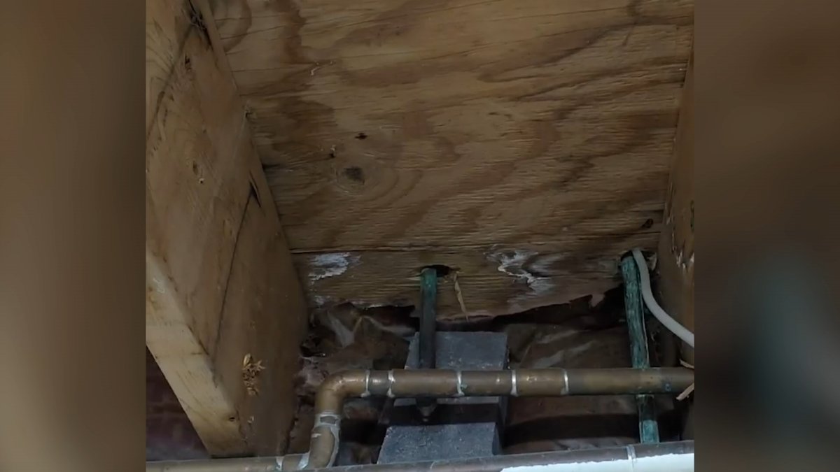 Indiana Family Forced to Abandon Home Due to Mold Infestation NBC Chicago